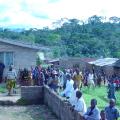 Conservation Takes Root in the Nigerian Rainforest
