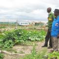 Hlumani community garden, Khayelitsha