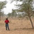Rescuing Africa's Environment