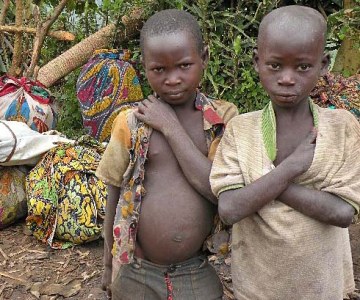 Crisis in the Democratic Republic of Congo