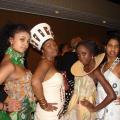 TransAfrica Awards Gala 2008