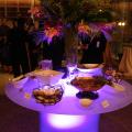 The African Diaspora Inaugural Ball