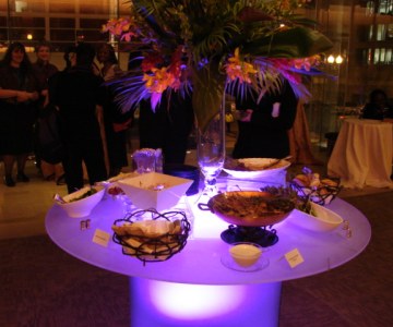 The African Diaspora Inaugural Ball