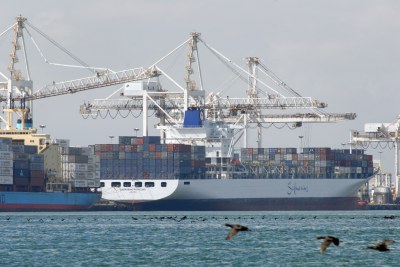 Container ships in Cape Town harbour (file photo).