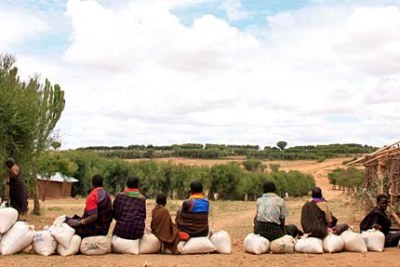 Ugandan pastoralists wait for permission to migrate to areas with more water.