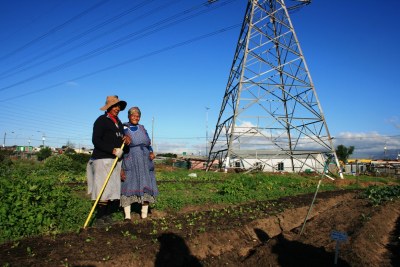 Farmers at Fezeka food garden in Gugulethu in Cape Town, South Africa (file photo).