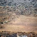 Cleaning Up the Environment and Rescuing a Rare Mammal - A UNDP Photo Essay Contest