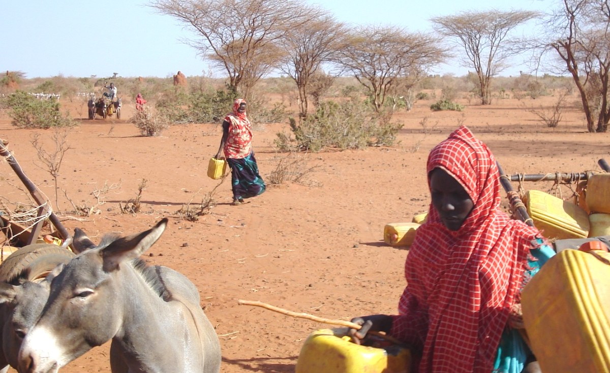 Somalia, UN Officials Review Drought Response and 2026 Humanitarian Plan