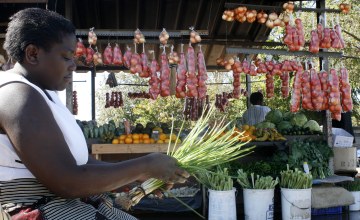 Africa Speaks on Regional Integration