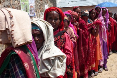 Voters at the polls (file photo).