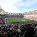 Viva Les Elephants!