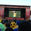Bafana v France at a Cape Town Fan Park