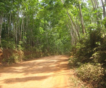 Camp de refugiés ivoirien à  Bahn au Liberia