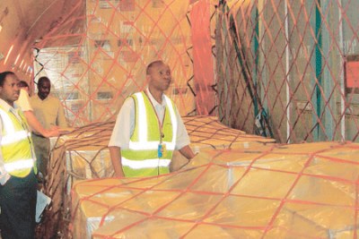 Airport workers inspect goods inside a cargo flight (file photo).