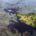Cleaning up the Niger Delta