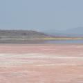 Kenya: The ALIN Center
