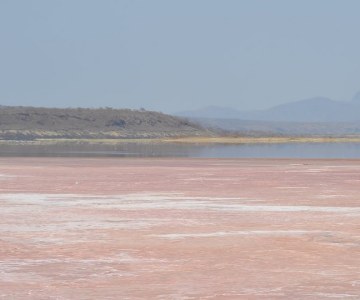 Kenya: The ALIN Center