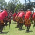 School Tree Planting Highlights Wangari Maathai's Legacy