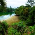 Greening of Gabon