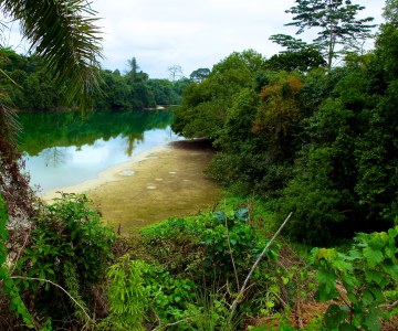 Greening of Gabon