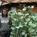 Sack_Gardening_in_Kibera's_Slums
