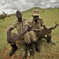 Cattle Theft and Security in Uganda
