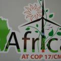 Behind the Scenes at COP 17