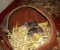 iPhoto #4