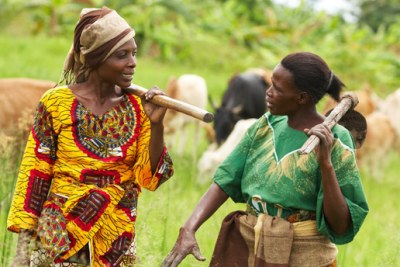 Farmers teaching farmers. Mwanaidi Ramadhani (left) is part of a local farmers organization in Mwasonge. Farmers like Mwanaidi have coached more than 1,800 farmers in Tanzania to grow this kind of sweet potato (file photo).