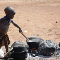 Africa's Progress with the Millennium Development Goals