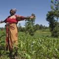 Gates Foundation in Africa