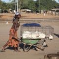 Linking Farmers to Markets