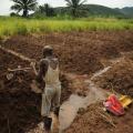 Local Irrigation Solutions Boost Yields for African Farmers