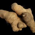 West Africa: Boosting Yam Production