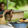 The African Green Revolution Forum