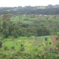 Alliance Building to Increase Farm Production and Restore Land