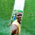 Stuck Between Refuge and Risk in Cote d'Ivoire