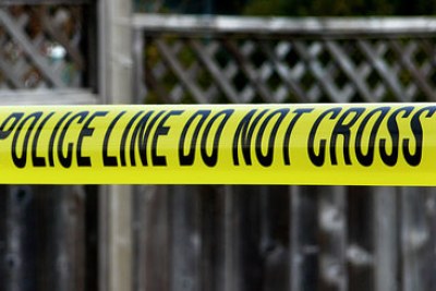 The mystery surrounding the murder of honeymooning tourist Anni Dewani has captured the nation's collective imagination.