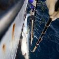 Longline Fishing for Tuna and Sharks in Mozambique Waters