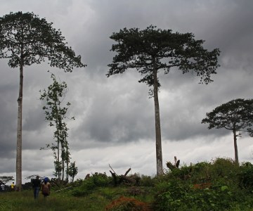 African Governments Giving Land Away Quickly, Recognizing Land Rights Slowly