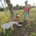 East African Farmers Fighting Climate Change