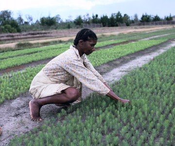 Countries Most Deteriorated on 2013 Ibrahim Governance Index