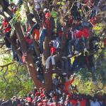 Zimbabweans Rally for Change
