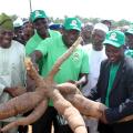 Financing Agricultural Development in Nigeria