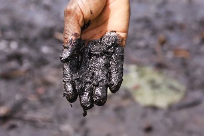 Pastor Christian Lekoya Kpandei's hand covered in oily mud, Bodo Creek, in 2011. His fish farm once provided a living for about 30 families. Its collapse forced him to move to a single-room apartment, to pull his youngest child out of school and left him with no regular source of income.
