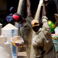 Portraits of Financial Inclusion