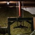 In Search Of A Truly South African Beer