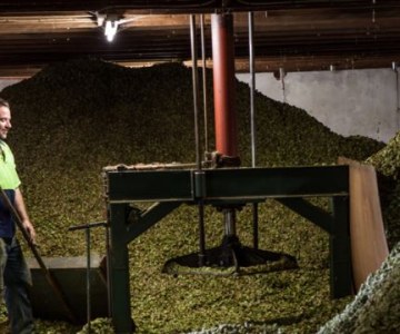In Search Of A Truly South African Beer