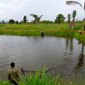 WFP Fighting Hunger in Malawi