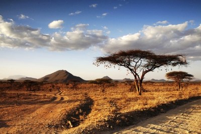 Drought and hunger in Kenya.